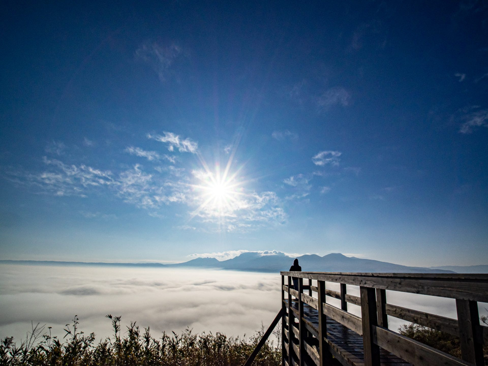 田子山(そらふねの桟橋)